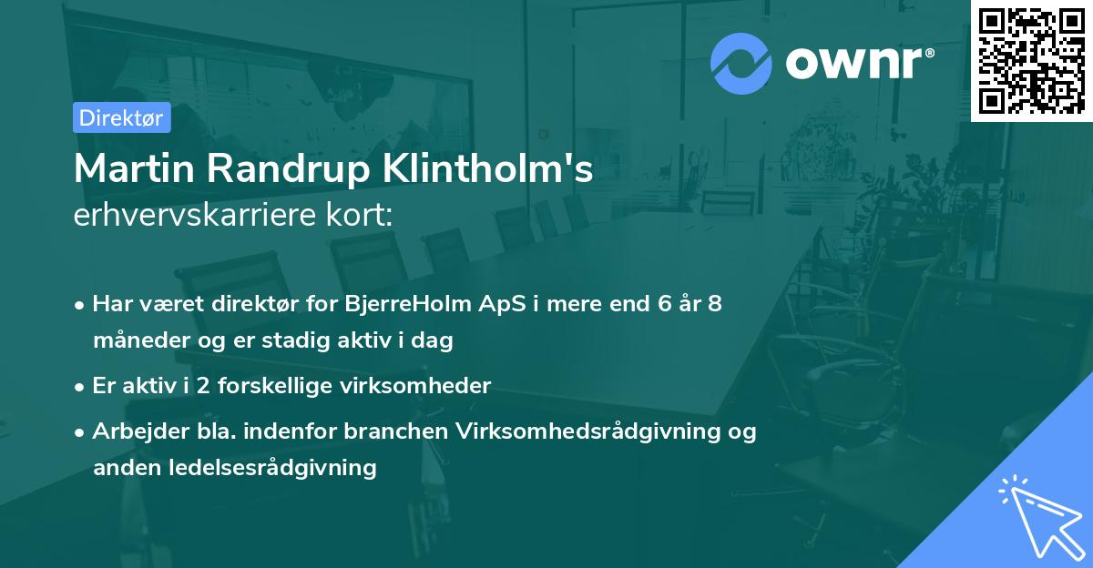 Martin Randrup Klintholm's erhvervskarriere kort