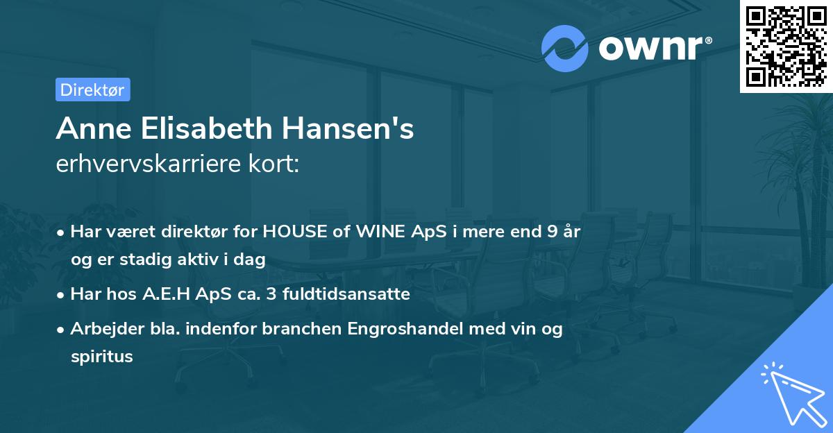 Anne Elisabeth Hansen's erhvervskarriere kort