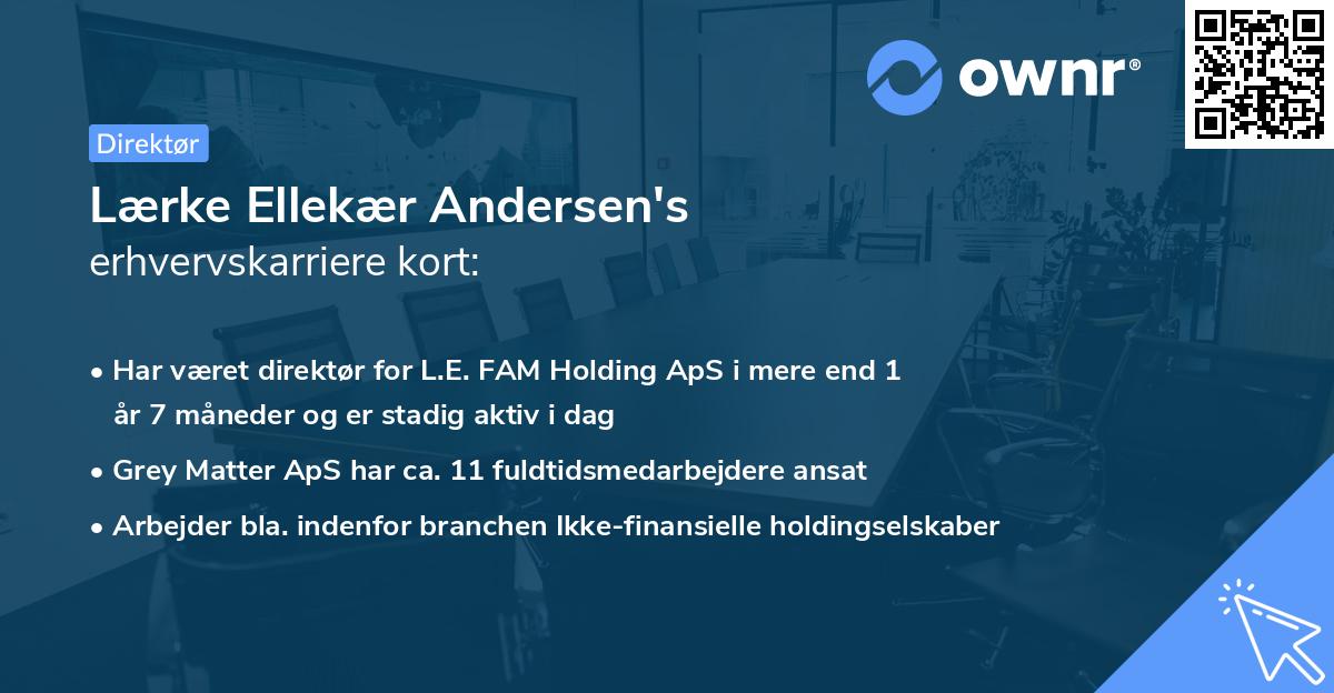 Lærke Ellekær Andersen's erhvervskarriere kort