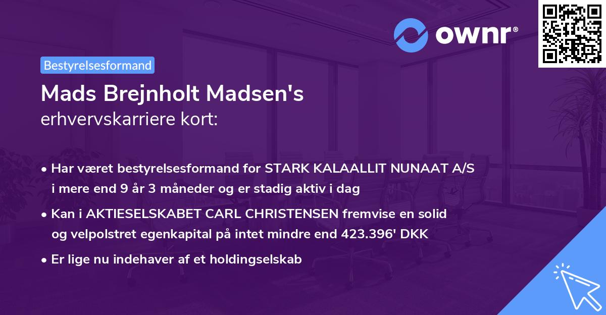 Mads Brejnholt Madsen's erhvervskarriere kort