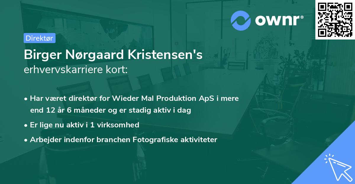 Birger Nørgaard Kristensen's erhvervskarriere kort