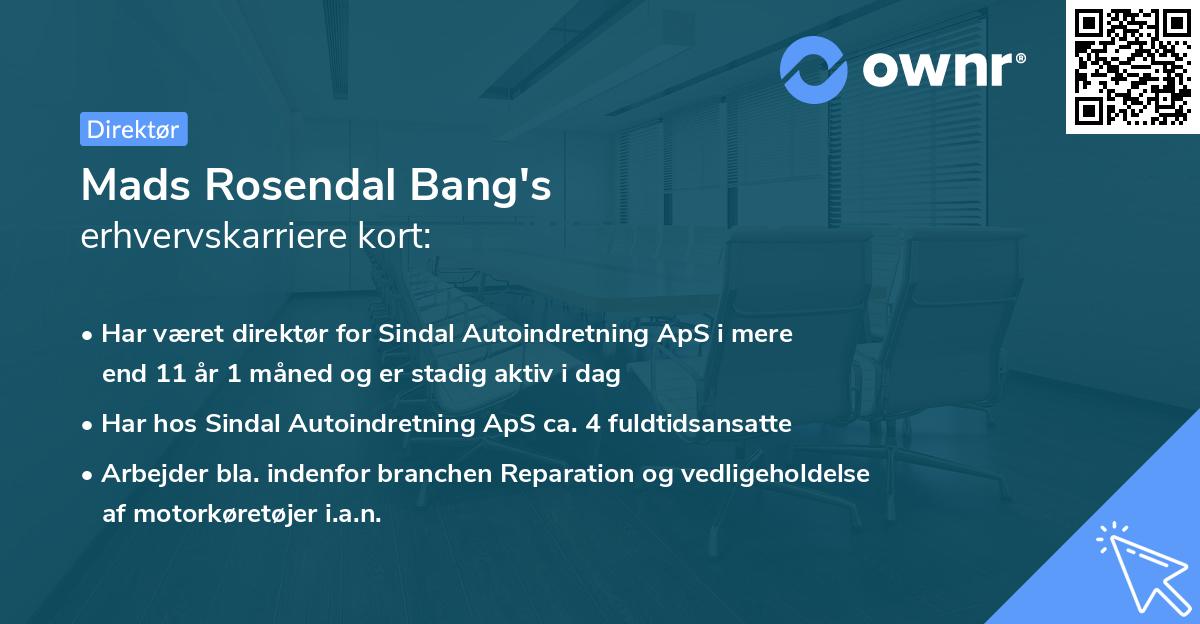Mads Rosendal Bang's erhvervskarriere kort
