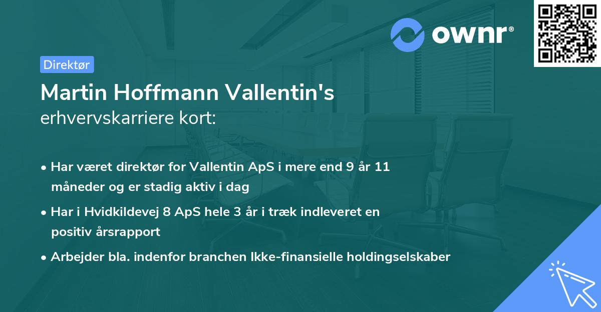 Martin Hoffmann Vallentin's erhvervskarriere kort