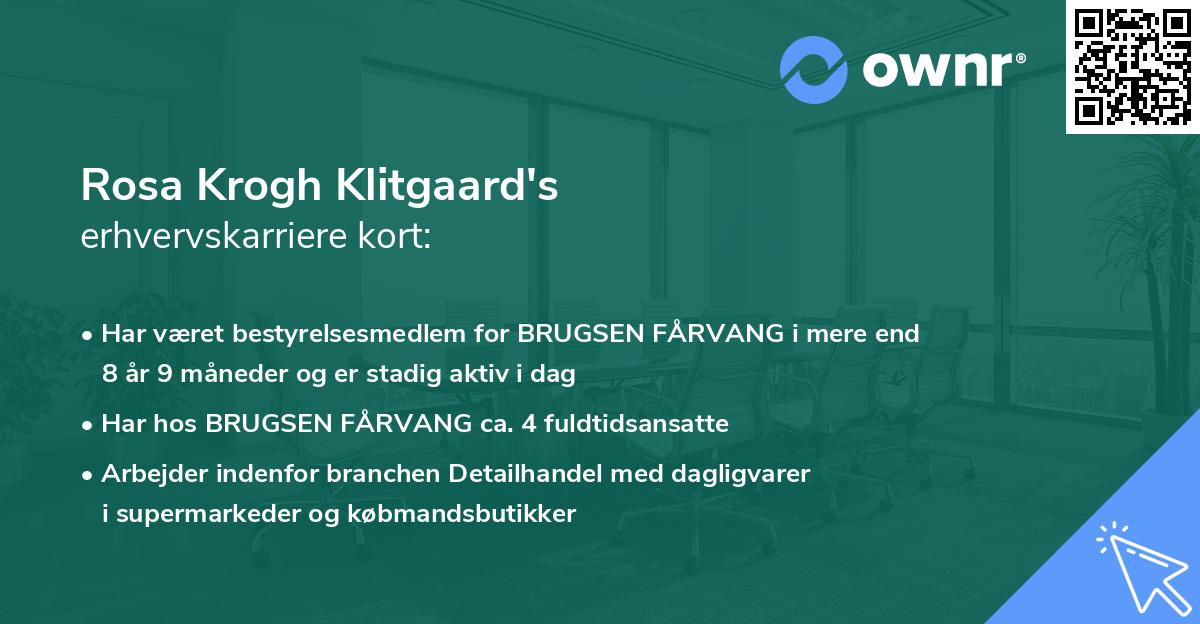 Rosa Krogh Klitgaard's erhvervskarriere kort