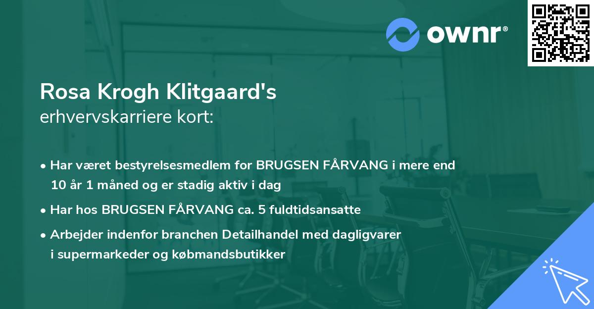 Rosa Krogh Klitgaard's erhvervskarriere kort