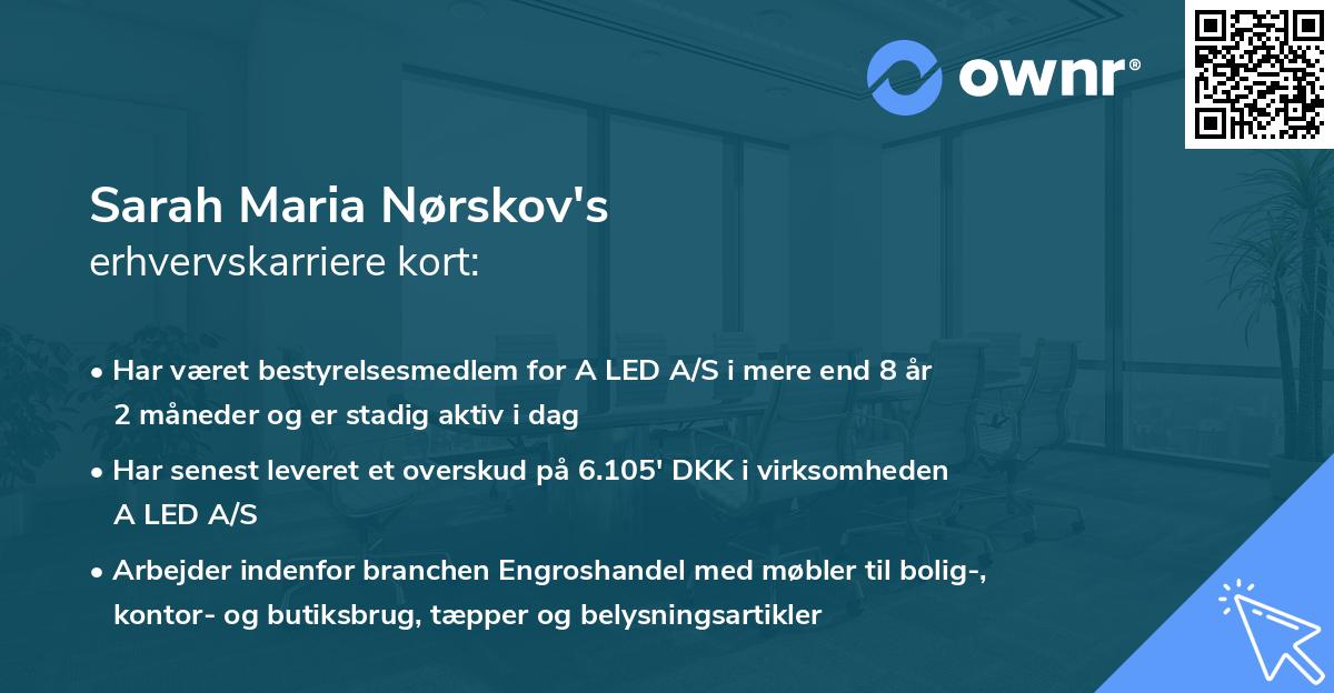 Sarah Maria Nørskov's erhvervskarriere kort