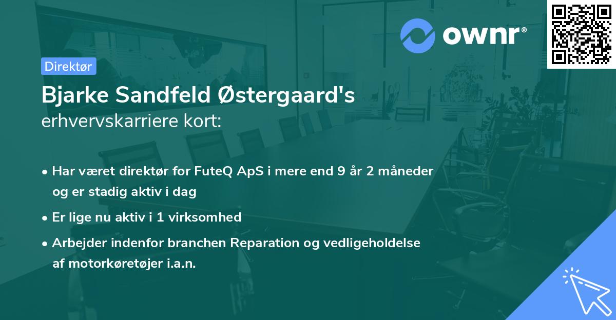 Bjarke Sandfeld Østergaard's erhvervskarriere kort