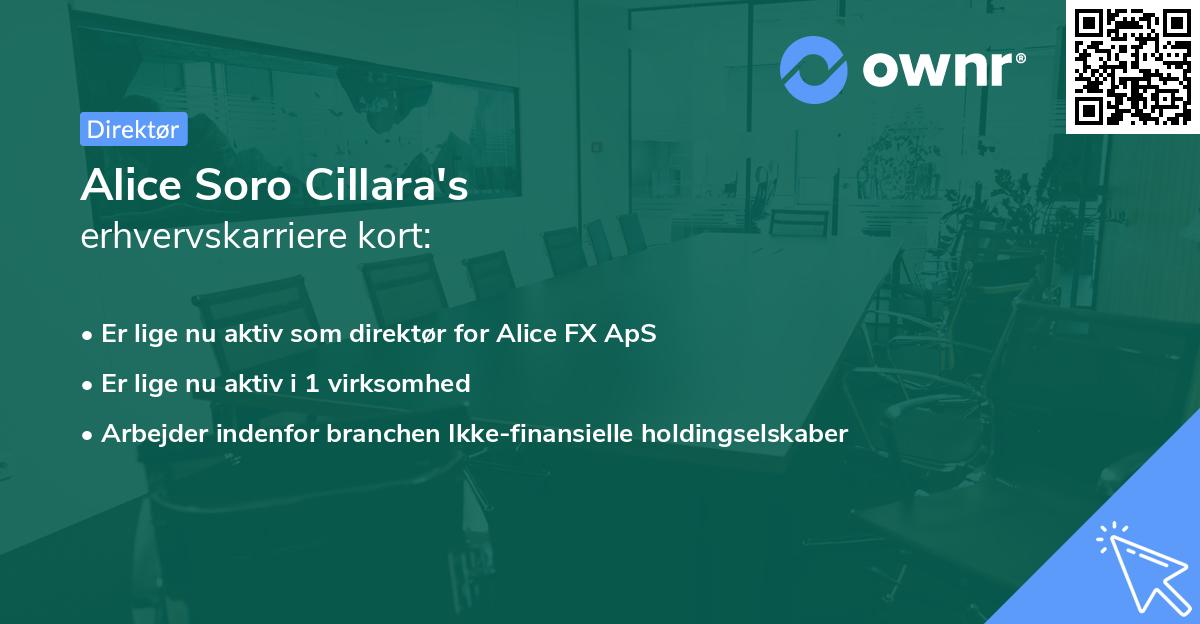 Alice Soro Cillara's erhvervskarriere kort