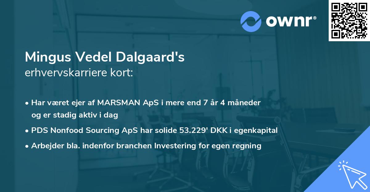 Mingus Vedel Dalgaard's erhvervskarriere kort