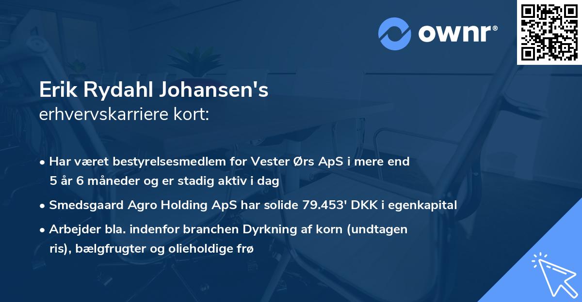 Erik Rydahl Johansen's erhvervskarriere kort