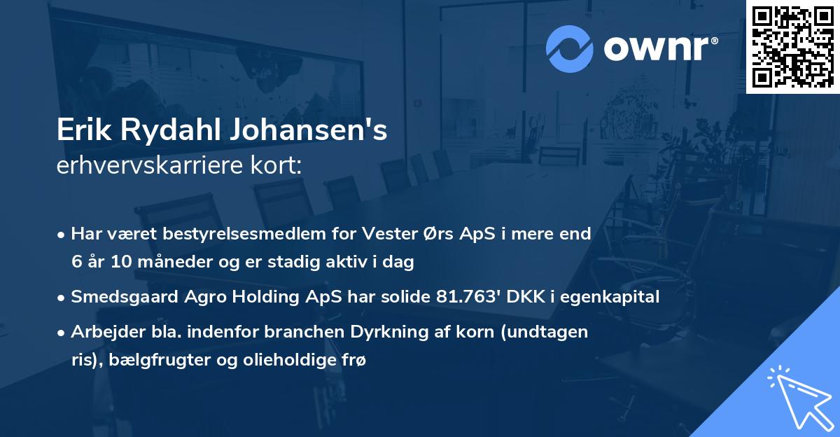 Erik Rydahl Johansen's erhvervskarriere kort