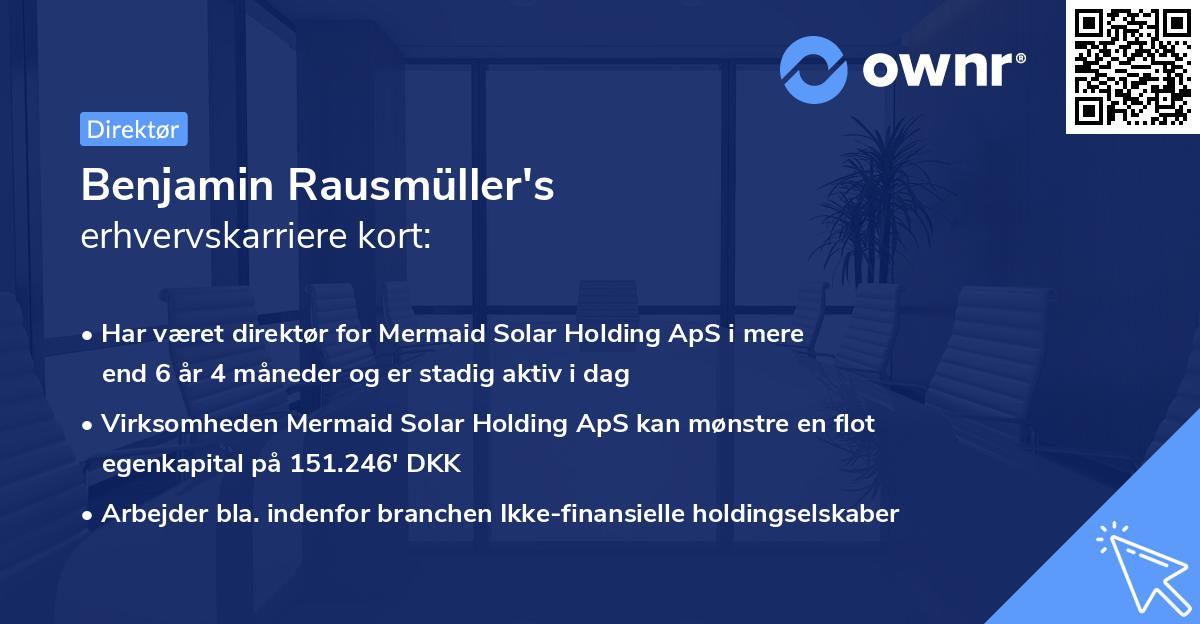 Benjamin Rausmüller's erhvervskarriere kort