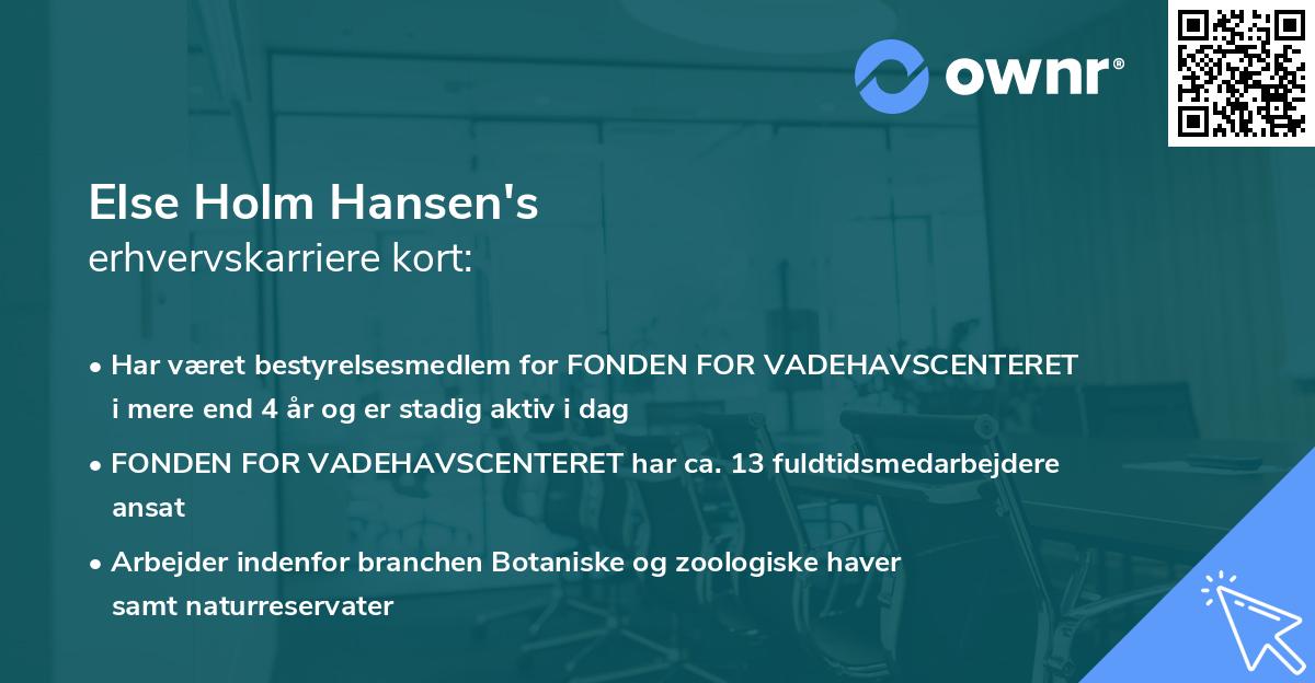 Else Holm Hansen's erhvervskarriere kort