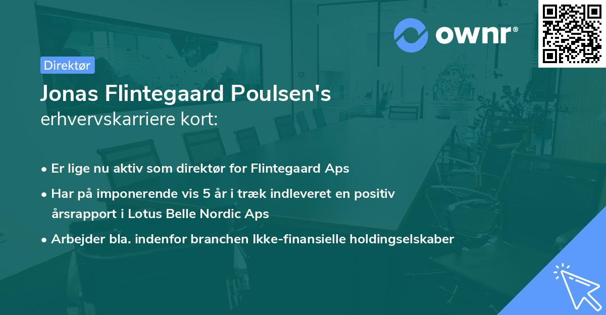 Jonas Flintegaard Poulsen's erhvervskarriere kort