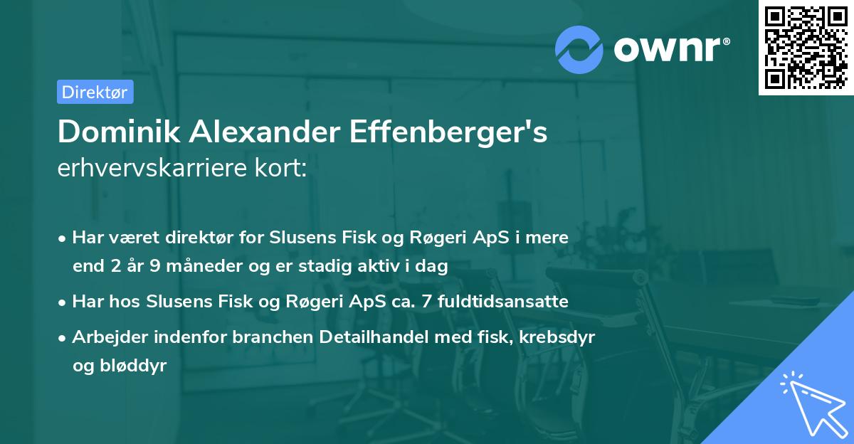 Dominik Alexander Effenberger's erhvervskarriere kort