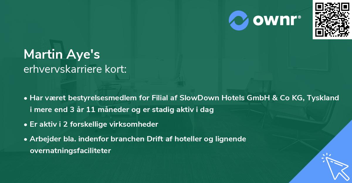 Martin Aye's erhvervskarriere kort