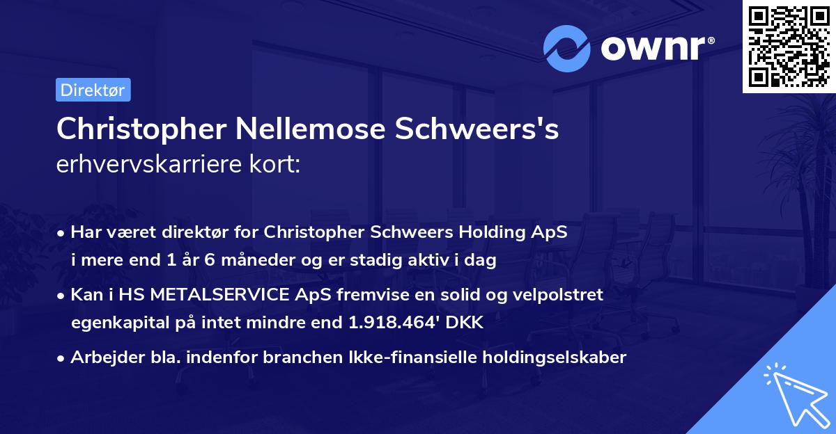Christopher Nellemose Schweers's erhvervskarriere kort