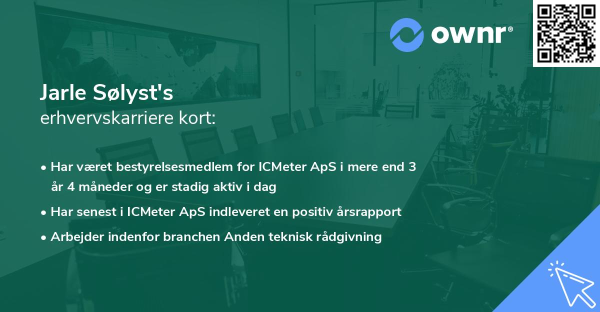 Jarle Sølyst's erhvervskarriere kort