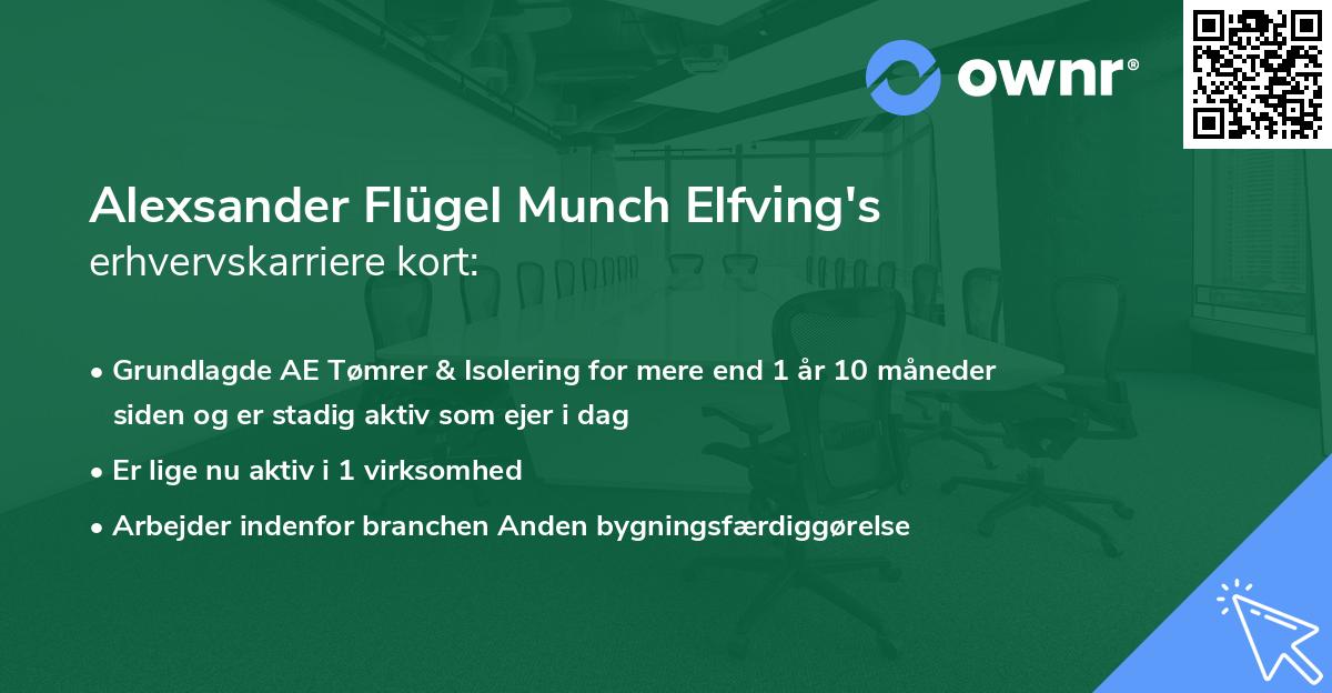 Alexsander Flügel Munch Elfving's erhvervskarriere kort