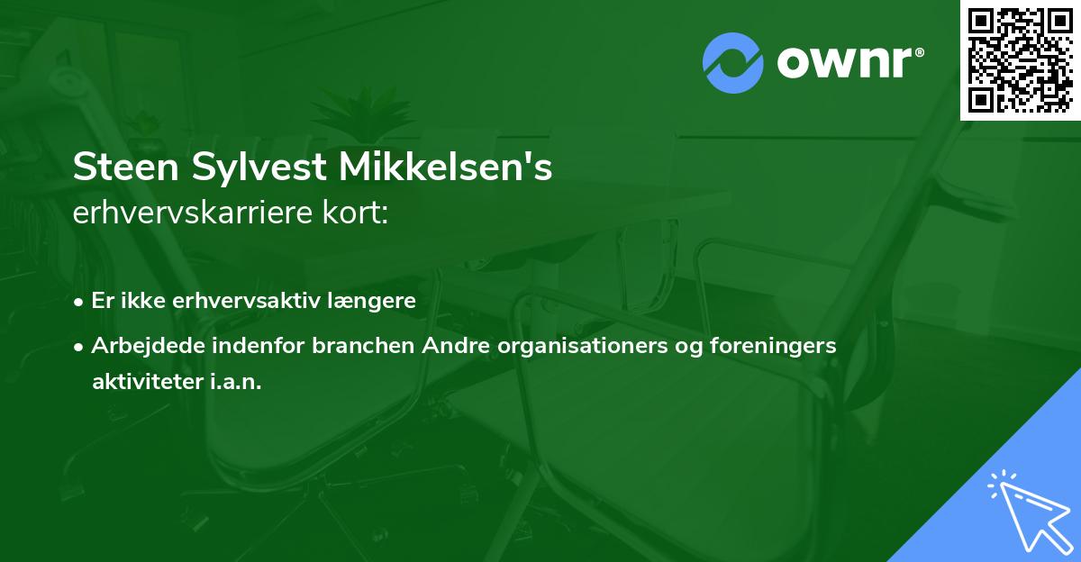 Steen Sylvest Mikkelsen's erhvervskarriere kort
