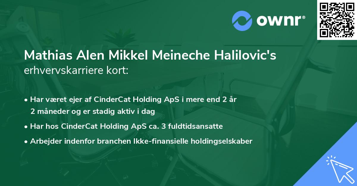 Mathias Alen Mikkel Meineche Halilovic's erhvervskarriere kort