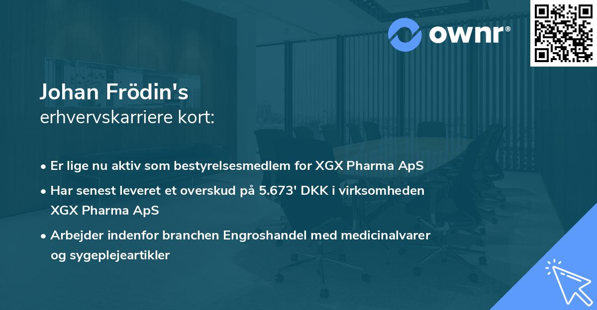 Johan Frödin's erhvervskarriere kort