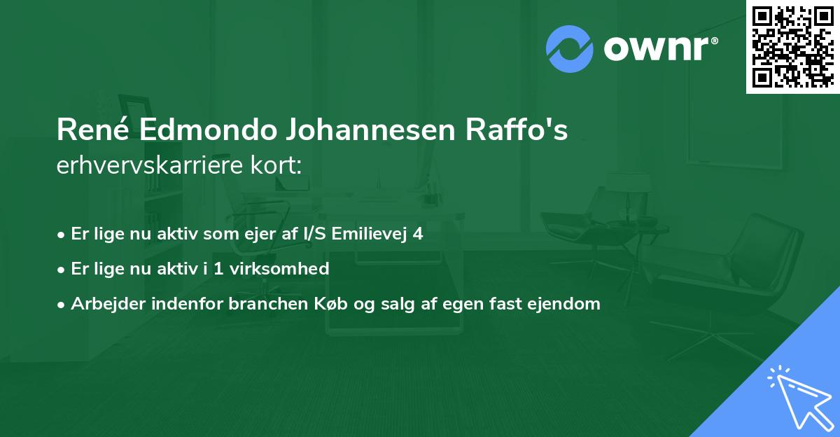 René Edmondo Johannesen Raffo's erhvervskarriere kort