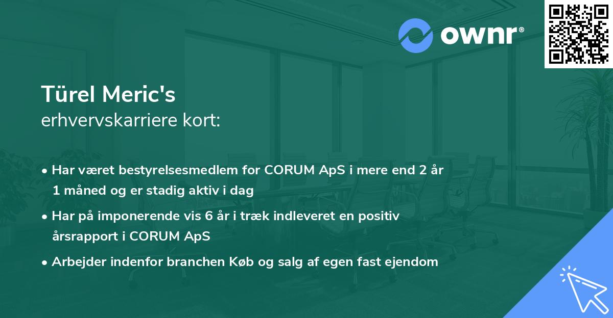 Türel Meric's erhvervskarriere kort