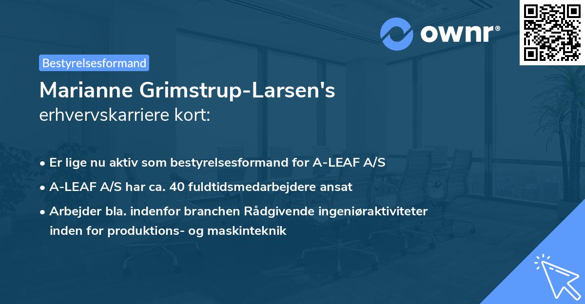 Marianne Grimstrup-Larsen's erhvervskarriere kort