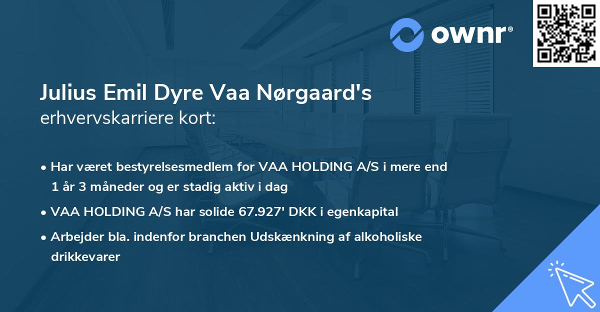 Julius Emil Dyre Vaa Nørgaard's erhvervskarriere kort