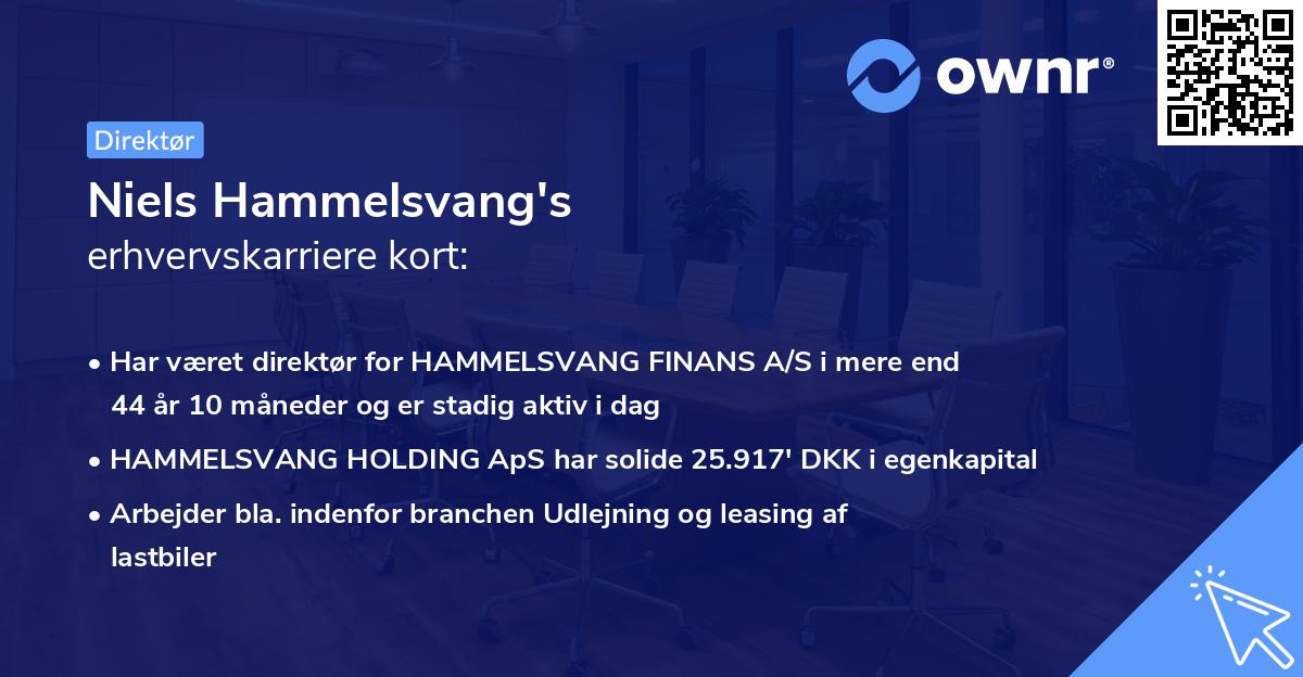 Niels Hammelsvang's erhvervskarriere kort