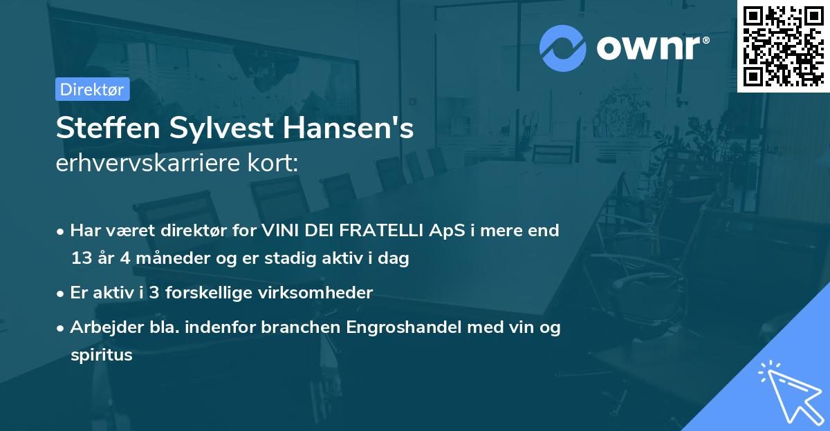 Steffen Sylvest Hansen's erhvervskarriere kort