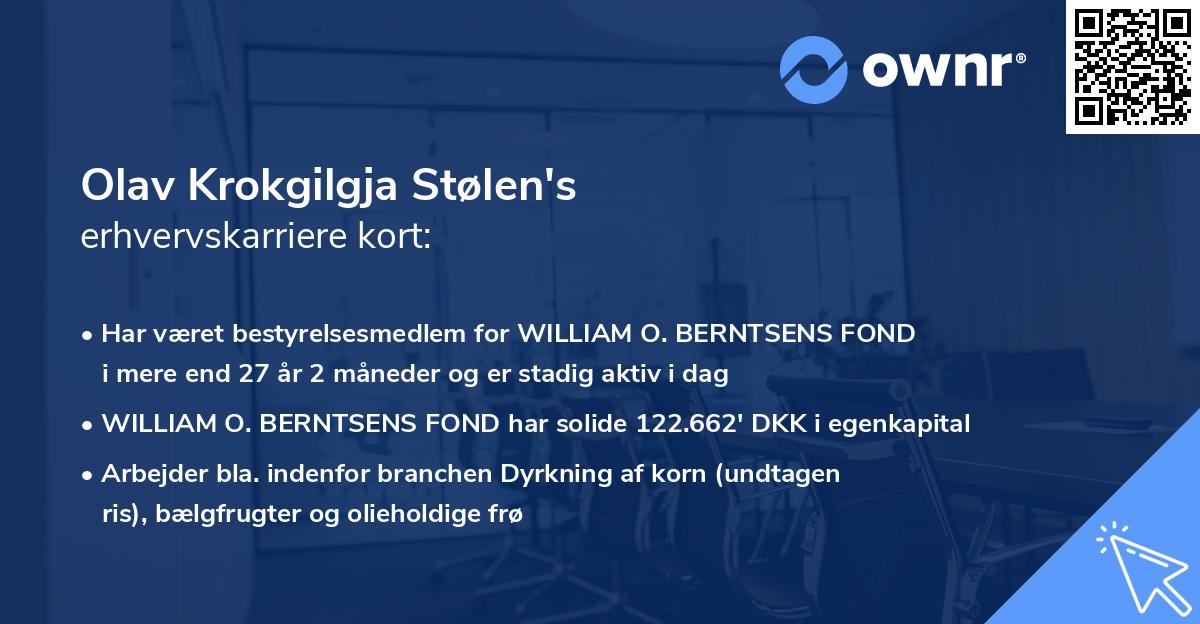 Olav Krokgilgja Stølen's erhvervskarriere kort