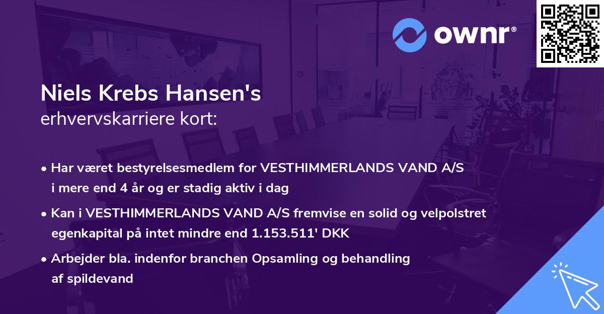 Niels Krebs Hansen's erhvervskarriere kort