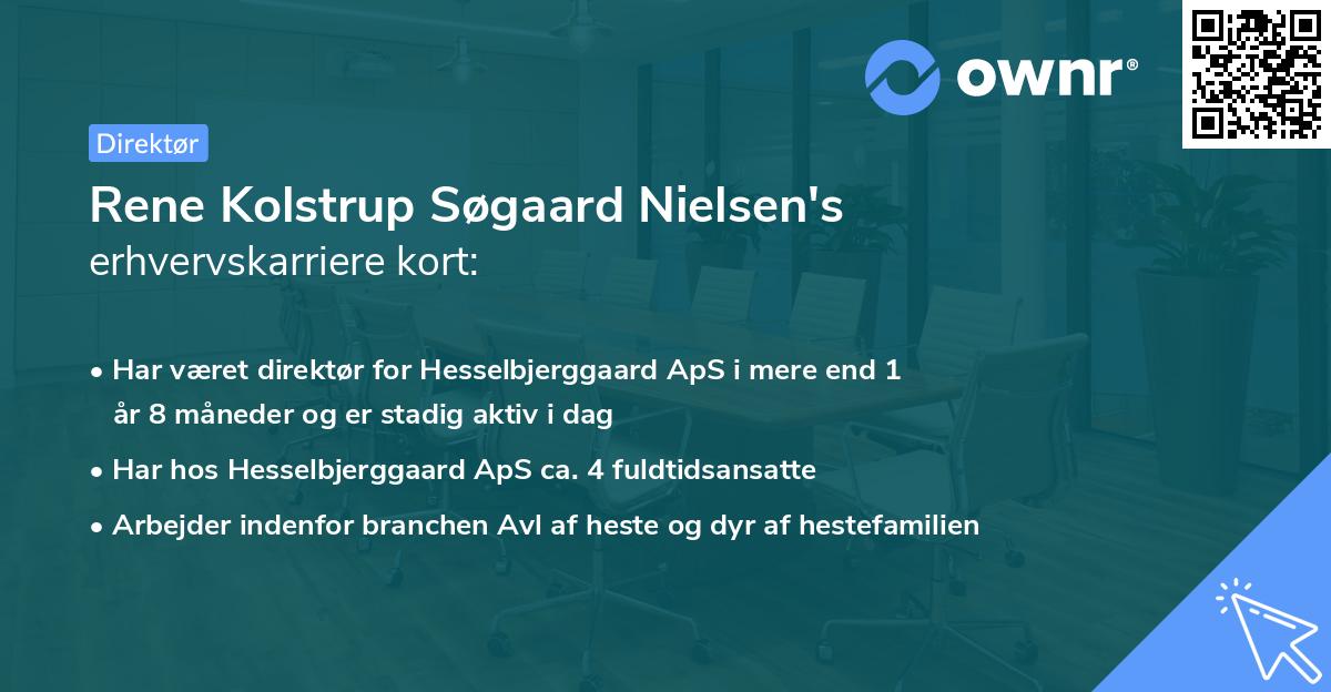 Rene Kolstrup Søgaard Nielsen's erhvervskarriere kort