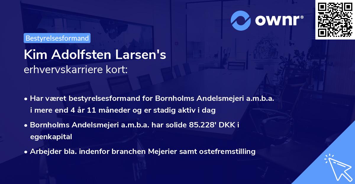 Kim Adolfsten Larsen's erhvervskarriere kort