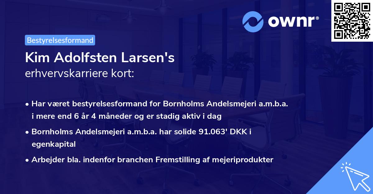 Kim Adolfsten Larsen's erhvervskarriere kort