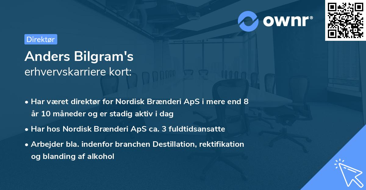 Anders Bilgram's erhvervskarriere kort