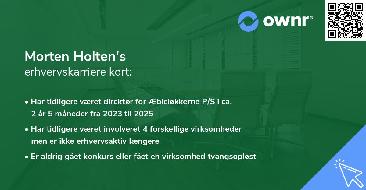 Morten Holten's erhvervskarriere kort