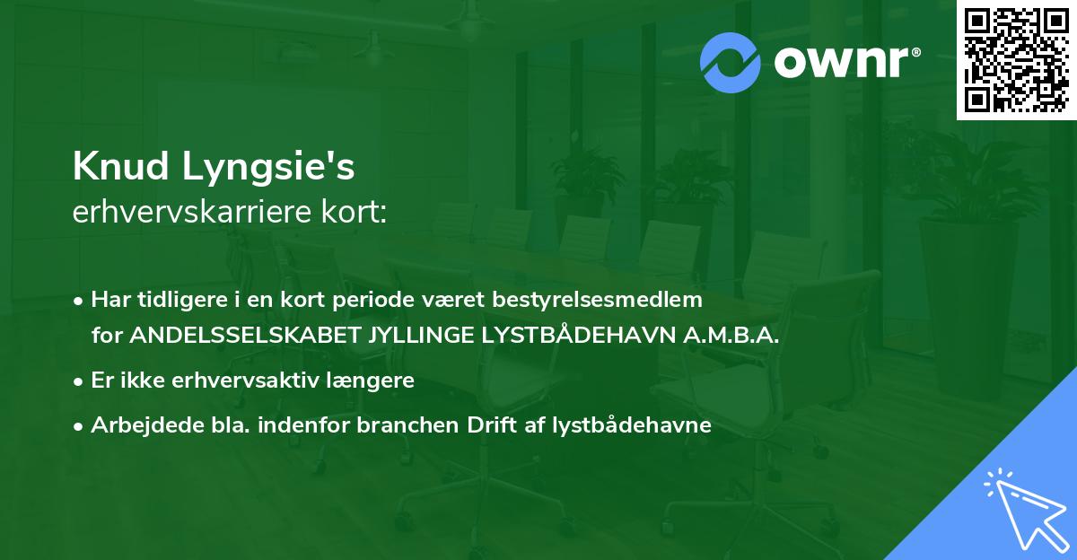 Knud Lyngsie's erhvervskarriere kort