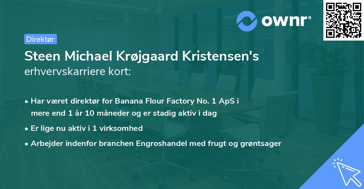 Steen Michael Krøjgaard Kristensen's erhvervskarriere kort