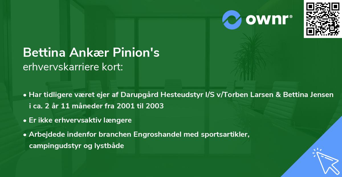 Bettina Ankær Pinion's erhvervskarriere kort