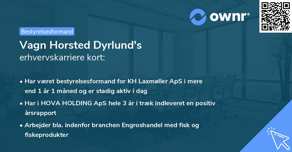 Vagn Horsted Dyrlund's erhvervskarriere kort