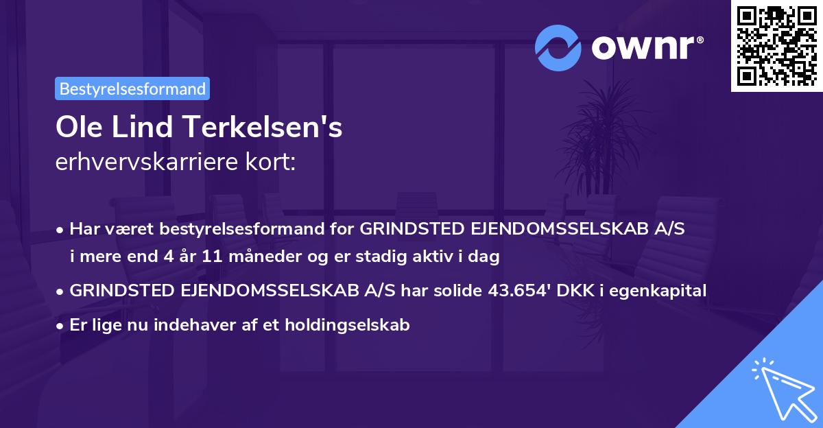 Ole Lind Terkelsen's erhvervskarriere kort