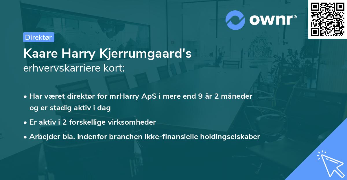 Kaare Harry Kjerrumgaard's erhvervskarriere kort
