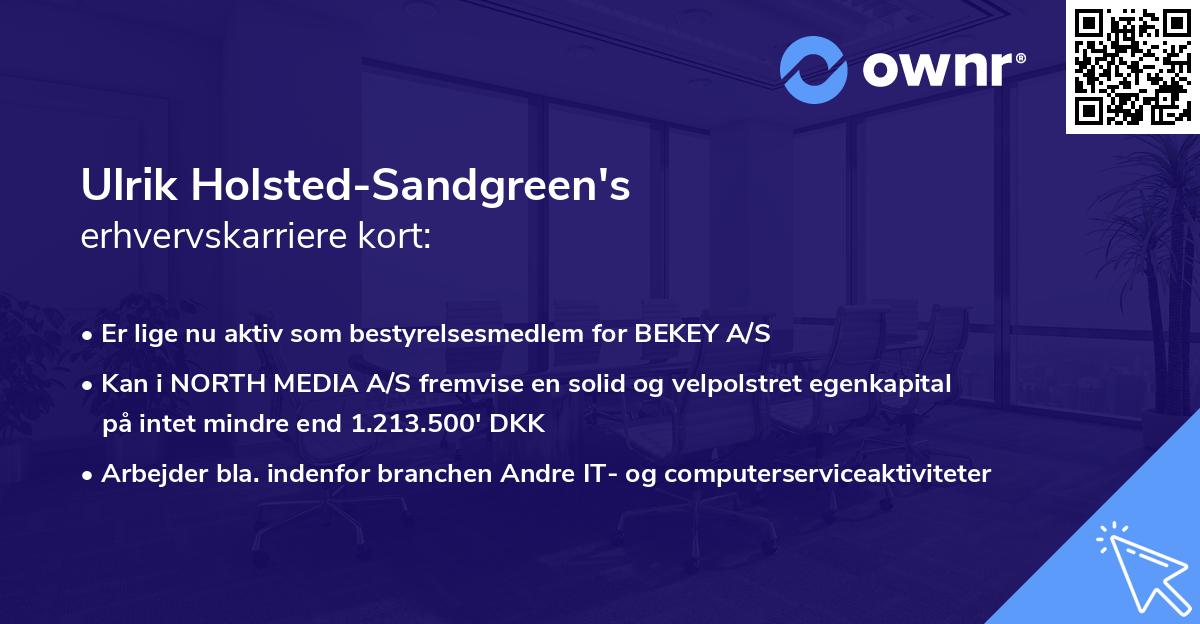 Ulrik Holsted-Sandgreen's erhvervskarriere kort