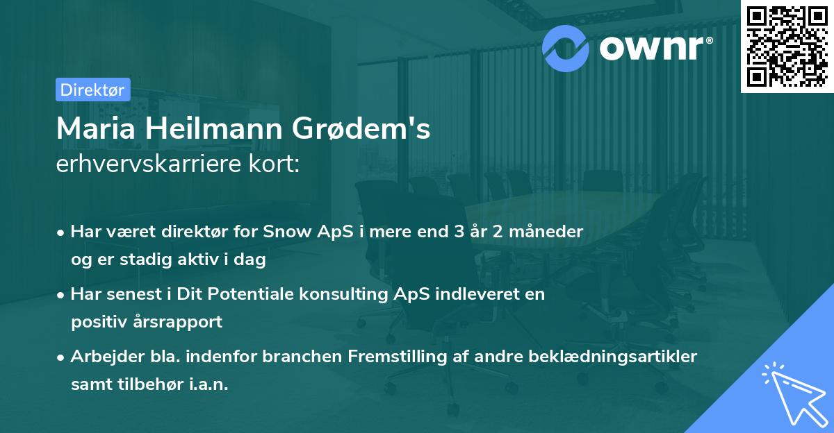 Maria Heilmann Grødem's erhvervskarriere kort