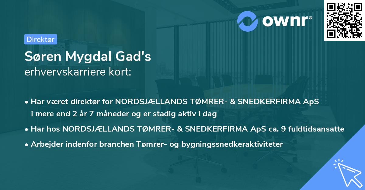 Søren Mygdal Gad's erhvervskarriere kort
