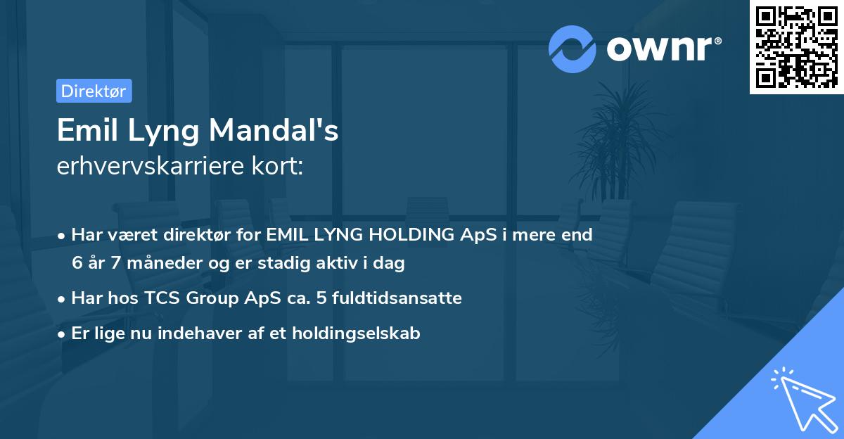 Emil Lyng Mandal's erhvervskarriere kort