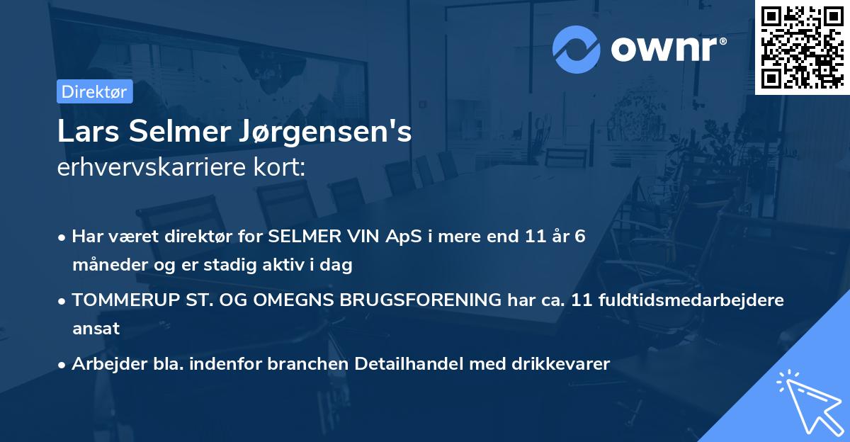 Lars Selmer Jørgensen's erhvervskarriere kort